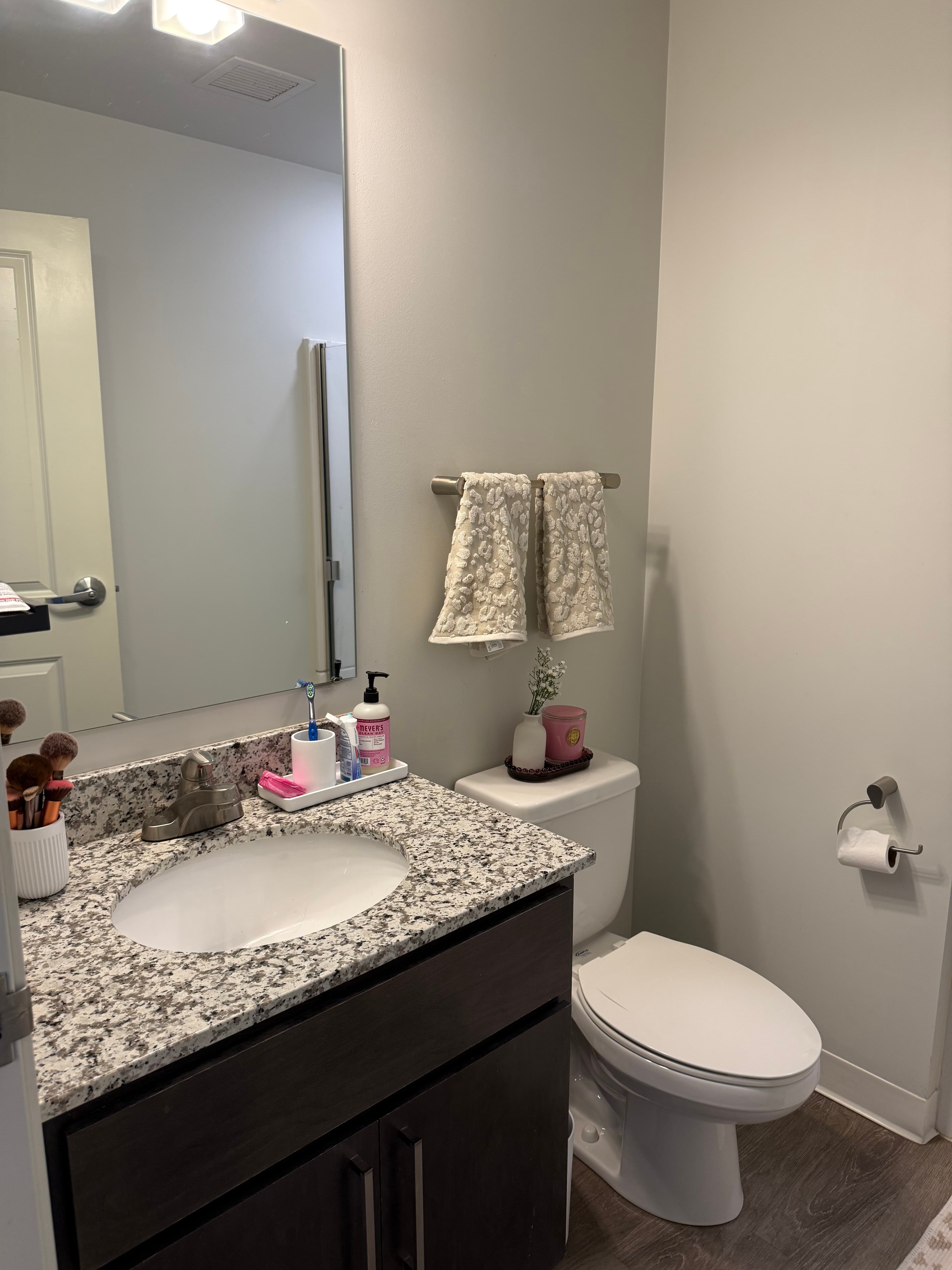 6BR/6BA Vic Village North - view of the Diag photo 4